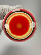 Jackie Brazil "Liquorice" Mix Colours Disk Broche ( O0991 )