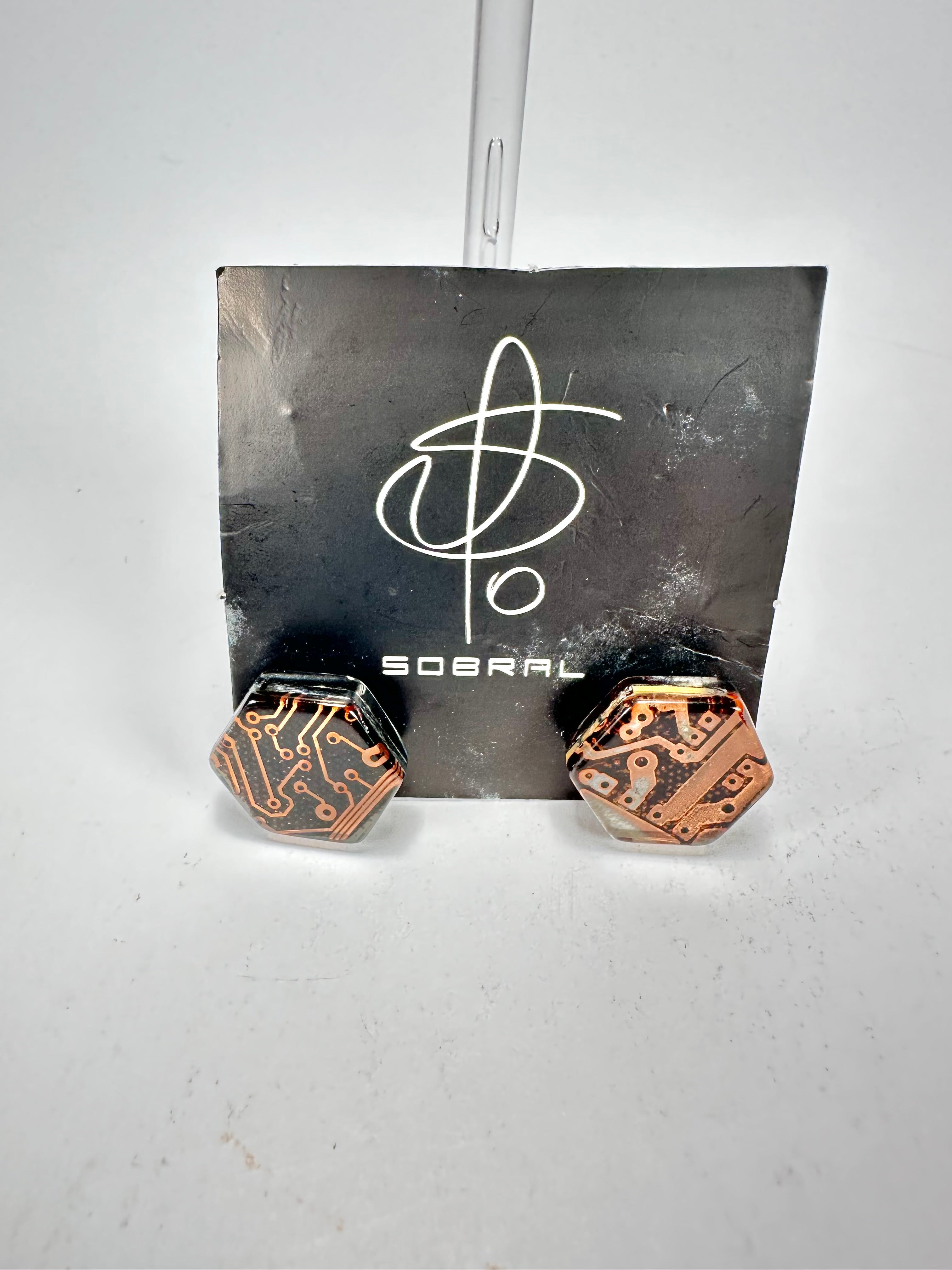 Jackie Brazil "Ming" Flash Digital Hexagon Resin Earrings ( E3214 )